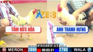 Trận 17 CPC1 7/6/2025 - Bướm Anh Thanh Hưng Lụm Xổ Không Quá 3 Chân