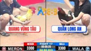 Trận 17 CPC3 11/5/2025 - Anh Quang Vũng Tàu Và Anh Quân Long An