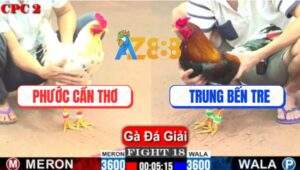 Trận 18 CPC2 1/6/2025 - Anh Phước Cần Thơ Và Anh Trung Bến Tre