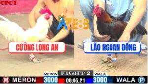 Trận 2 CPC1 3/6/2025 - Mẻ Điều Xanh Lão Ngoan Đồng Đâm Cựa Quá Ác