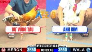 Trận 21 CPC1 5/6/2025 - Bướm Anh Kim Bao Đâm, Vàng Đâm Hết Nổi Bỏ Đi