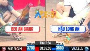 Trận 24 CPC3 8/6/2025 - Anh Beo An Giang Và Anh Hậu Long An