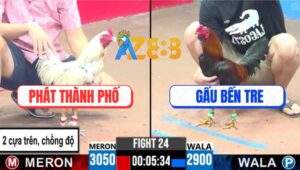 Trận 24 CPC3 9/6/2025 - Bướm Anh Phát Lên 2 Chấp Ngông Mất Cái Xổ 200