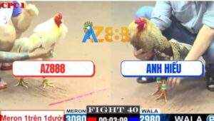 Trận 40 CPC1 5/6/2025 - Gà Bướm Xóm Gà AZ Gãy Tay Gãy Giò Chịu Đòn Cứu Chủ