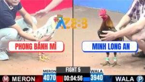 Trận 5 CPC3 11/5/2025 - Anh Phong Bánh Mì Lụm Gọn Má Minh