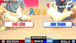 Trận 8 CPC2 8/6/2025 - Úa Anh Thanh Lì Đòn Đá Đỏ Không Ngóc Đầu Nổi