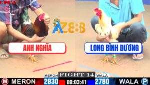 Trận 14 CPC1 22/7/2025 - Gà Bướm Đá Như Sơ Mít, Điều Đút Vô Là Mất Xác