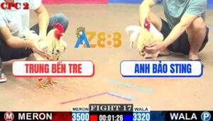 Trận 17 CPC2 20/7/2025 - Đúng Hàng Hiệu Bảo Sting Dỡ Giò Là Có Kết Quả