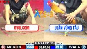 Trận 19 CPC1 5/7/2025 - Gà Chuối GVUI.COM Phản Kèo Ăn 1 Quá Đẳng Cấp