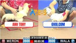 Trận 2 CPC1 12/7/2025 - Bướm Anh Tony Đá Bướm GVUI.COM Chạy La Làng