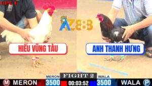 Trận 2 CPC1 5/7/2025 - Điều Cọp Anh Thanh Hưng Đâm Cựa Như Sát Thủ