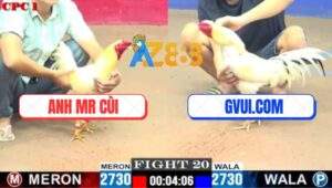 Trận 20 CPC1 10/7/2025 - Đám Bướm Hiệu GVUI.COM Đâm Cựa Quá Tịch