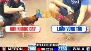 Trận 22 CPC1 5/7/2025 - Khét Cọp Anh Khang CR7 Đâm Cựa Như Máy