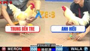 Trận 22 CPC2 11/7/2025 - Úa Anh Trung Đá Tăng 1 Gà Bướm Nằm Thở OXY