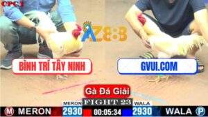 Trận 23 CPC1 10/7/2025 - Úa Hiệu GVUI.COM Đụng Cọp Hết Đường Về