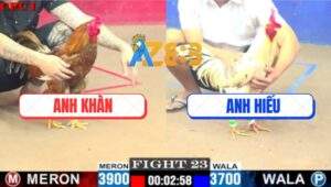 Trận 23 CPC1 3/7/2025 - Bướm Anh Hiếu Đâm Tan Tác Khét Cọp Anh Khàn