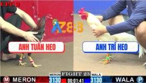 Trận 23 CPC2 23/7/2025 - Hai Con Cùng Chung Số Phân Sau Tay Nước Đầu