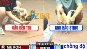 Trận 26 CPC2 20/7/2025 - Úa Hiệu Bảo Sting Lên Lớp Không Thành