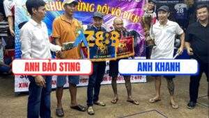 Chung Kết Giữa Anh Bảo Sting Và Anh Khanh Tại Bồ TonHon Ngày 18/7/2025