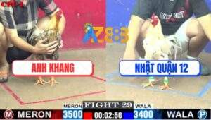 Trận 29 CPC1 3/7/2025 - Bướm Anh Khang Phân Định Thắng Thua Chỉ 1 Cước