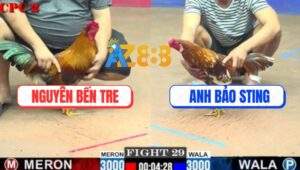 Trận 29 CPC2 20/7/2025 - Khét Bông Bảo Sting Đá Điều Kêu Oai Oái