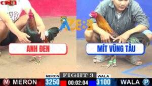 Trận 3 CPC1 17/7/2025 - Đám Điều Chân Xanh Anh Đen Đá Không Kịp Tha Lơ