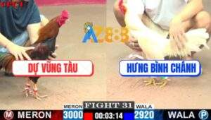 Trận 31 CPC1 7/7/2025 - Bóng Đá Có VAR, Đá Gà Có Anh Danh Trọng Tài