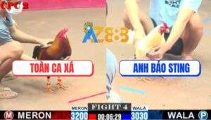 Trận 4 CPC2 2/7/2025 - Anh Bảo Sting Ra Quân Bị Hạ Sau 1 Tay Nước