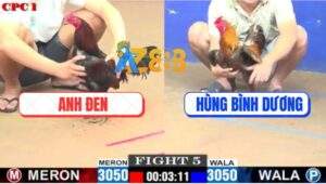 Trận 5 CPC1 24/7/2025 - Mẻ Hiệu Tính Ga King Gom Lúa Chỉ 1 Tay Nước