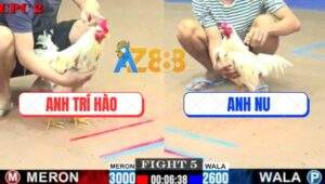 Trận 5 CPC2 20/7/2025 - Bướm Anh Nu Kém 4 Chấm, Lụm Xổ 300 Quá Ngọt