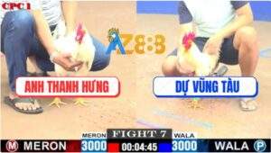 Trận 7 CPC1 3/7/2025 - Mẻ Bướm Hiệu Anh Thanh Hưng Quá Mai Độ