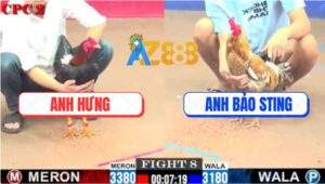 Trận 8 CPC2 2/7/2025 - Cú Cọp Anh Bảo Sting Bị Gà Điều Hạ Knock-out