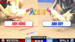 Trận 8 CPC2 4/7/2025 - Bướm Anh Hùng Có Chân Cứu Chủ Phản 5 Lai