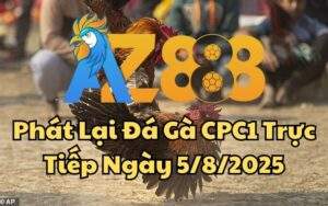 Phát Lại Đá Gà CPC1 Trực Tiếp Ngày 05/08/2025