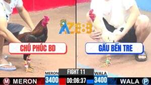 Trận 11 CPC3 5/8/2025 - Chú Phúc Bình Dương Ra Quân Mất Cái Xổ 300