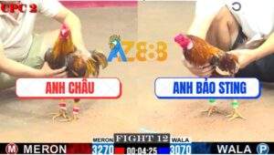 Trận 12 CPC2 1/8/2025 - Khét Bông Bảo Sting Đá 3 Chân Gà Khét Gãy Giò