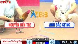 Trận 19 CPC2 1/8/2025 - Bướm Hiệu Bảo Sting Siết 1 Hơi Que Ói Xanh Mặt