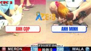 Trận 24 CPC2 6/8/2025 - Anh Bảo Sting Thả Giùm Anh Cọp Bị Đá Gãy Giò