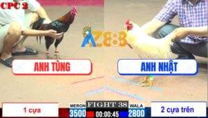 Trận 39 CPC2 3/8/2025 - Bướm Anh Nhật Đưa Đầu Cho Gà Điều Anh Tùng Sút