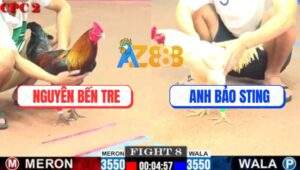 Trận 8 CPC2 1/8/2025 - Anh Bảo Sting Đúng Xui Ra Con Nào Té Con Đó