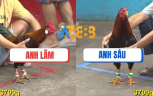 Trận 16 CPC5 Ngày 15/08/2025