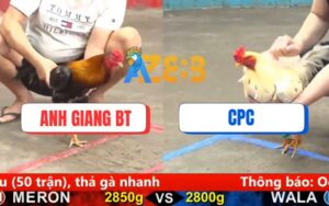Trận 9 CPC5 Ngày 17/08/2025