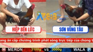 Trận 29 CPC5 17/9/2025 - Con Chết, Con Bỏ Mạng Ngay Tay Nước Đầu