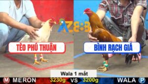 Trận 5 CPC5 29/9/2025 - Gà Vàng Một Mắt Của Anh Binh Đâm Đâu Trúng Đó