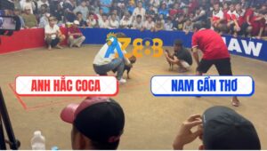 Trận 8 Bồ TonHon 27/9/2025 - Gà Anh Hắc Đá Đúng 1 Chân Hạ Gà Anh Bé