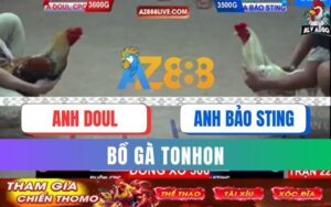 Trận 22 Bồ Tonhon 12/09/2025