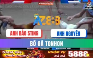 Trận 52 Bồ Tonhon 12/09/2025