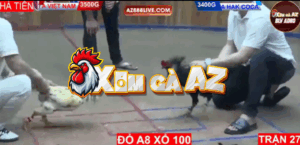 Trận 27 Bồ Hà Tiên 30/10/2025 - Hak Coca Bị Việt Nam Cho Đi Bón Hành