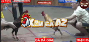 Trận 35 Bồ Hà Tiên 30/10/2025 - Nu Đồng Tháp Gặp Doul CPC Tại Giải