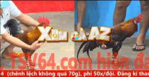 Trận 9 CPC5 30/10/2025 - Nhí Biện Tiếp Tục Làm Từ Thiện Tại Trận Đấu